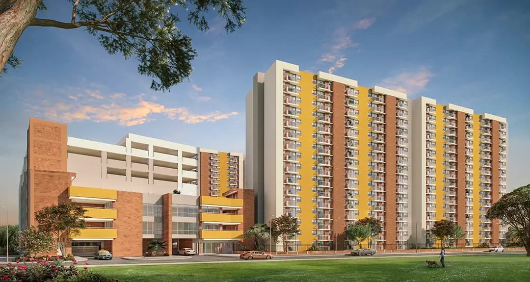 Azafran Ciudad Tierrabuena