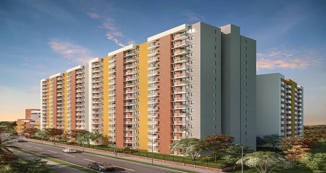 Azafran Ciudad Tierrabuena - miniatura 3